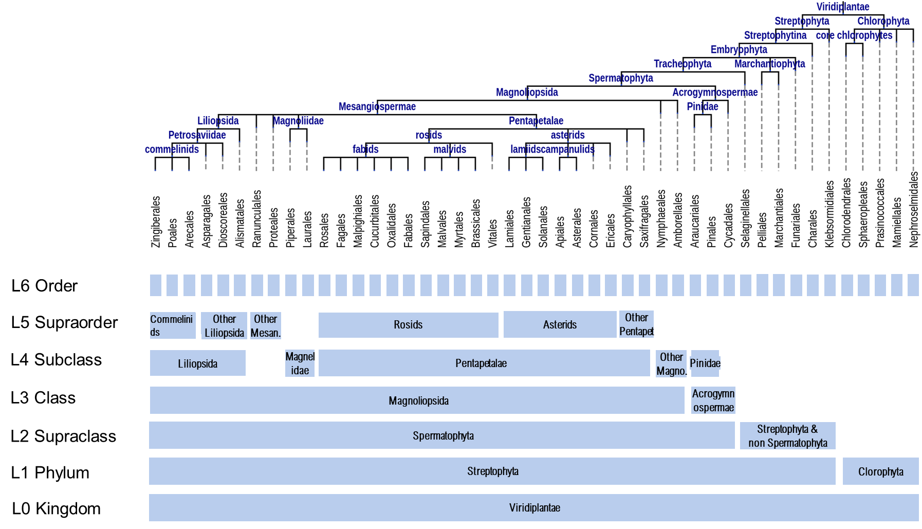 Clusters by taxonomix spread