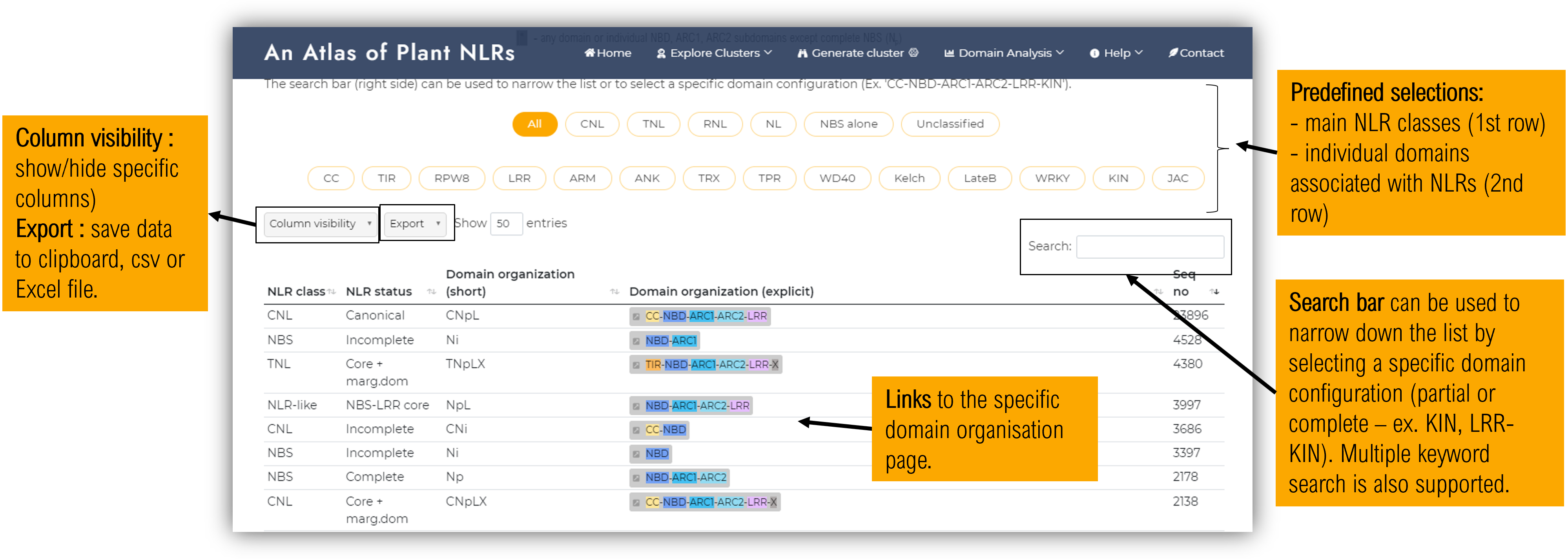 Clusters by domains