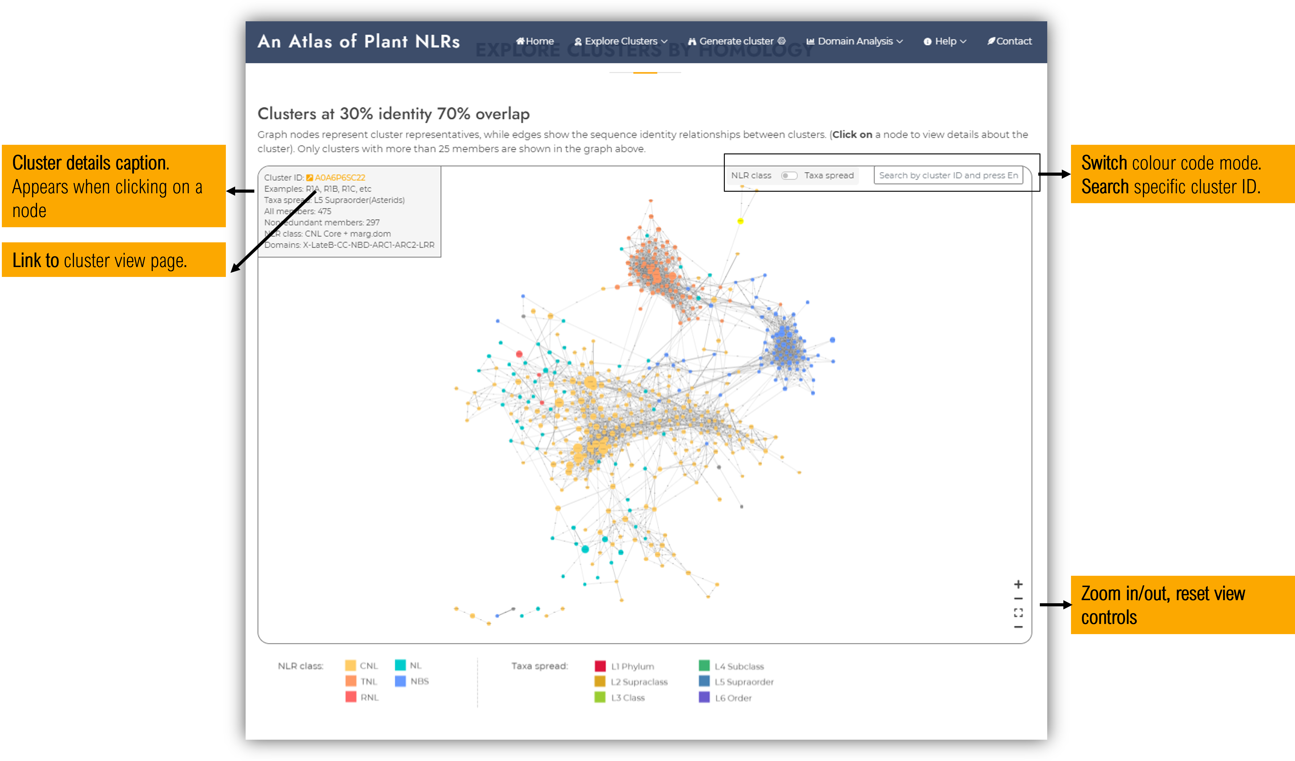 Clusters by homology graph