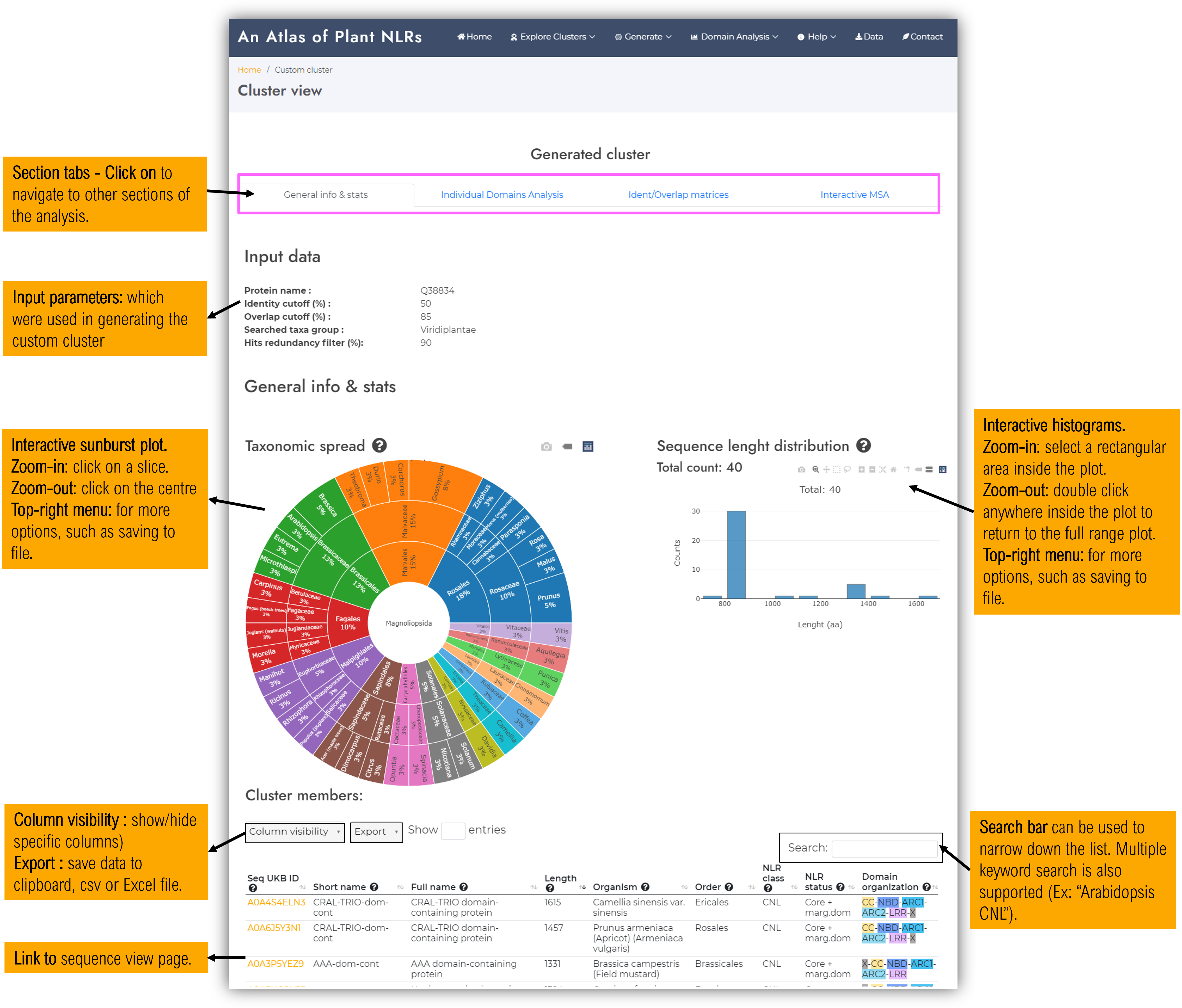 Generate cluster - results page