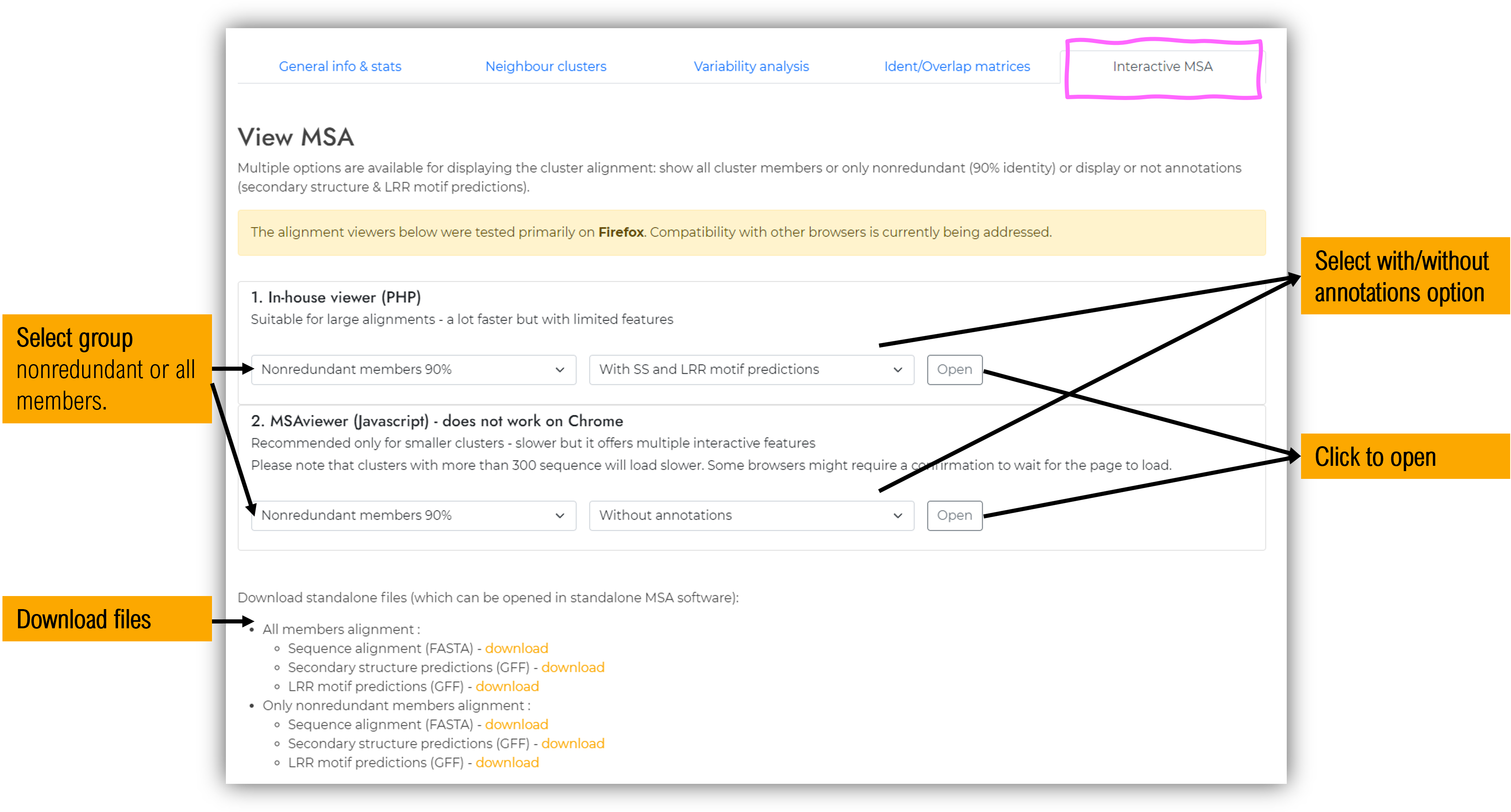 Clusters visualization page: MSA - Multiple sequence alignment