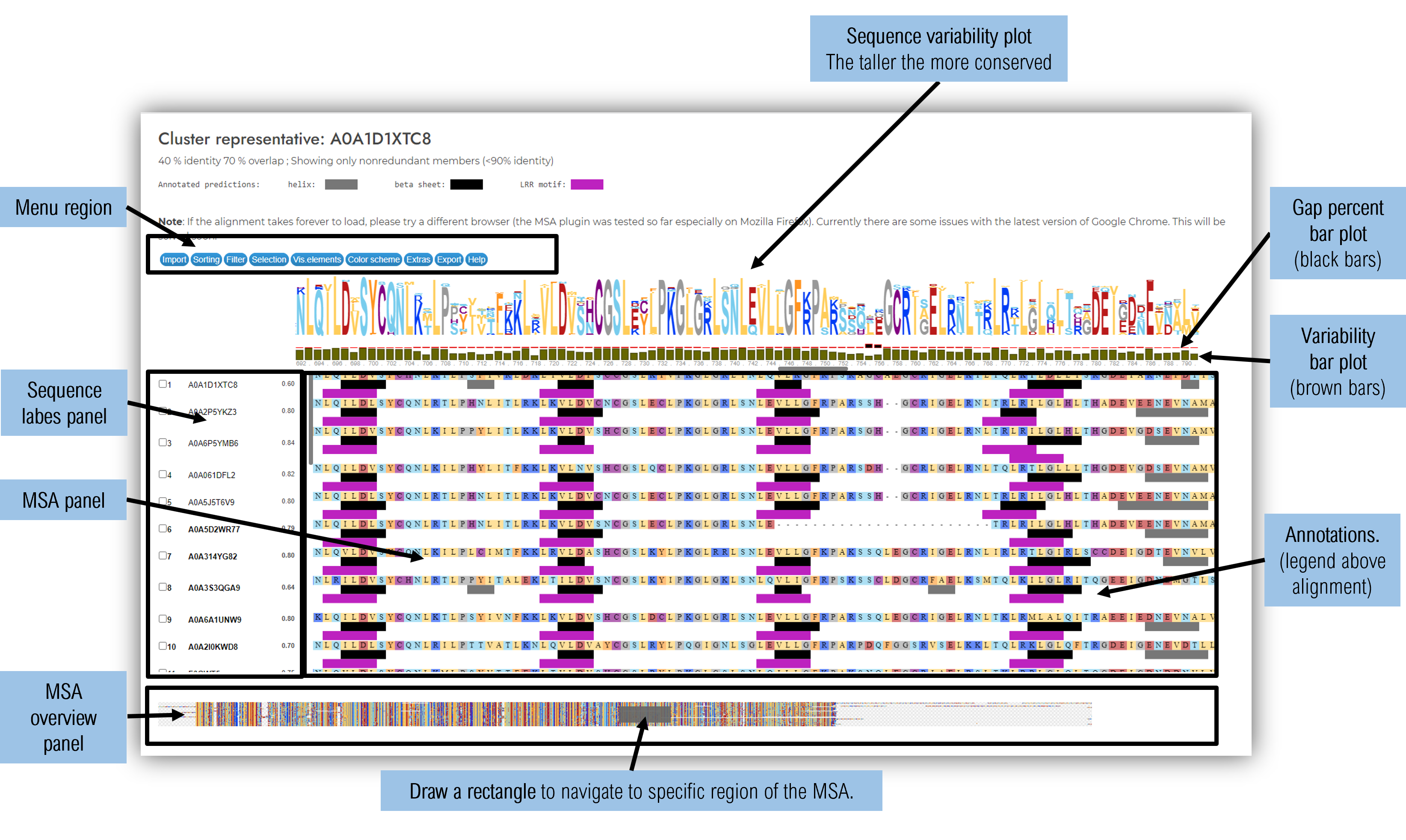 Clusters visualization: MSAviewer