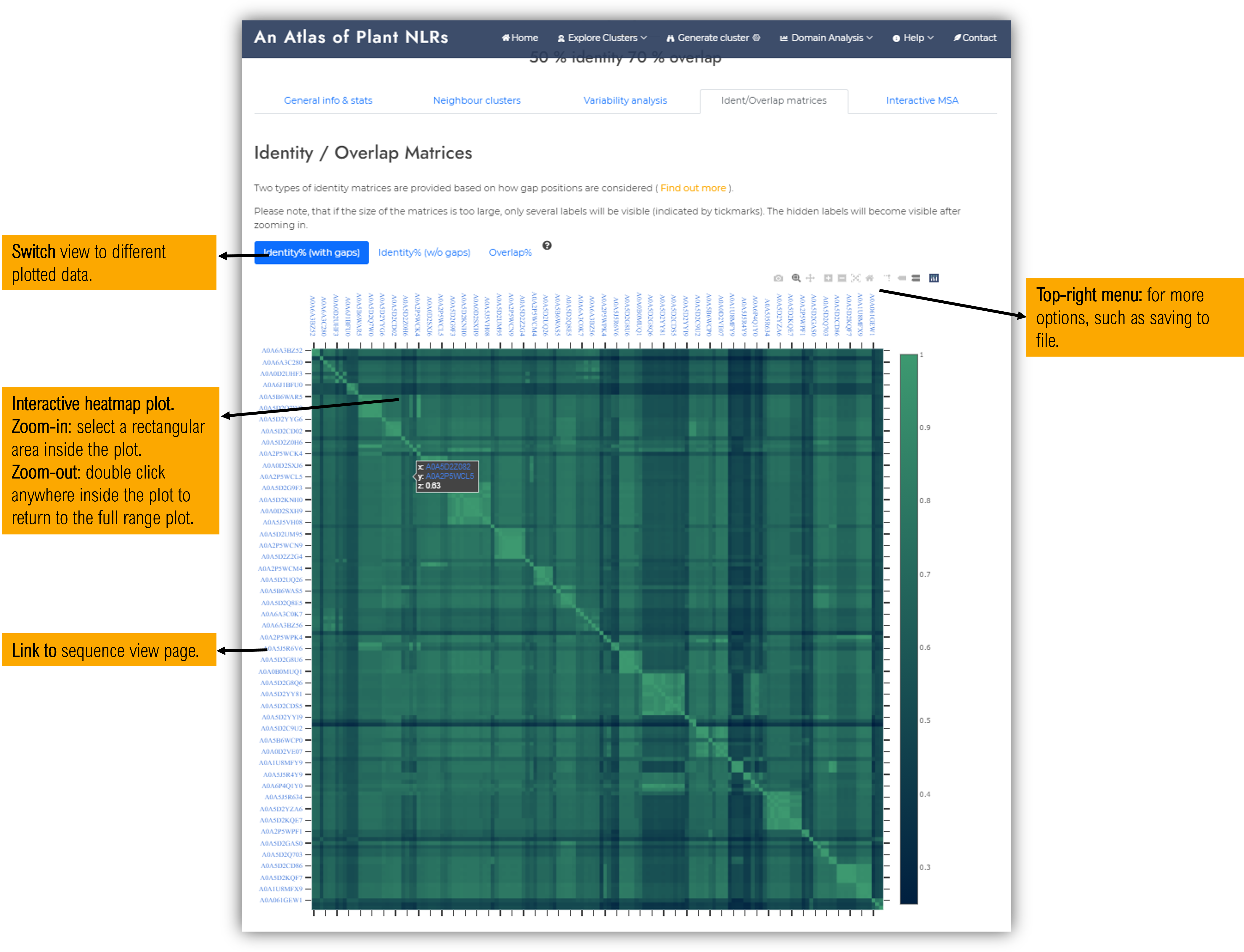 Clusters visualization page: identity matrices