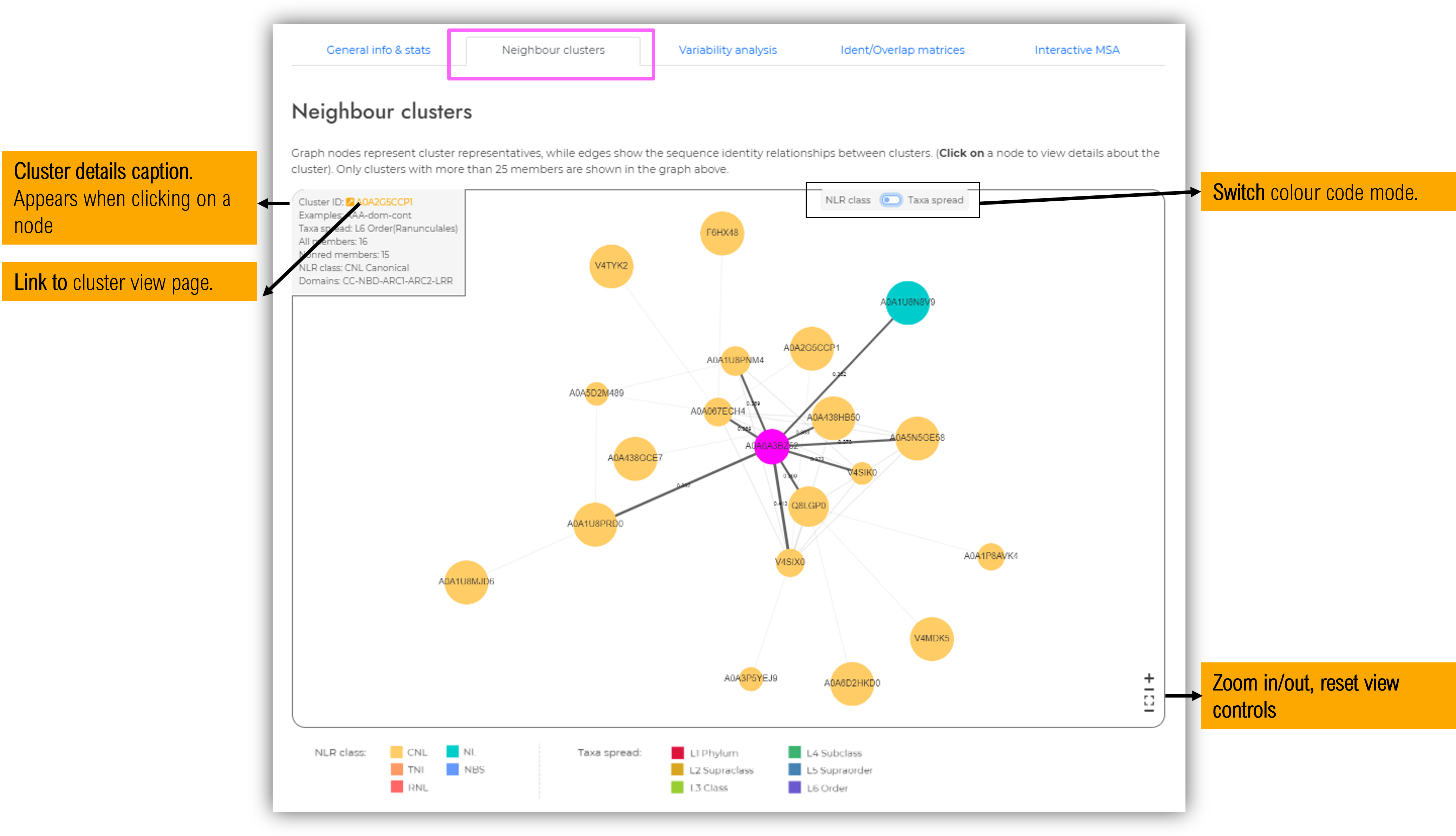 Clusters by homology page: neighbour page